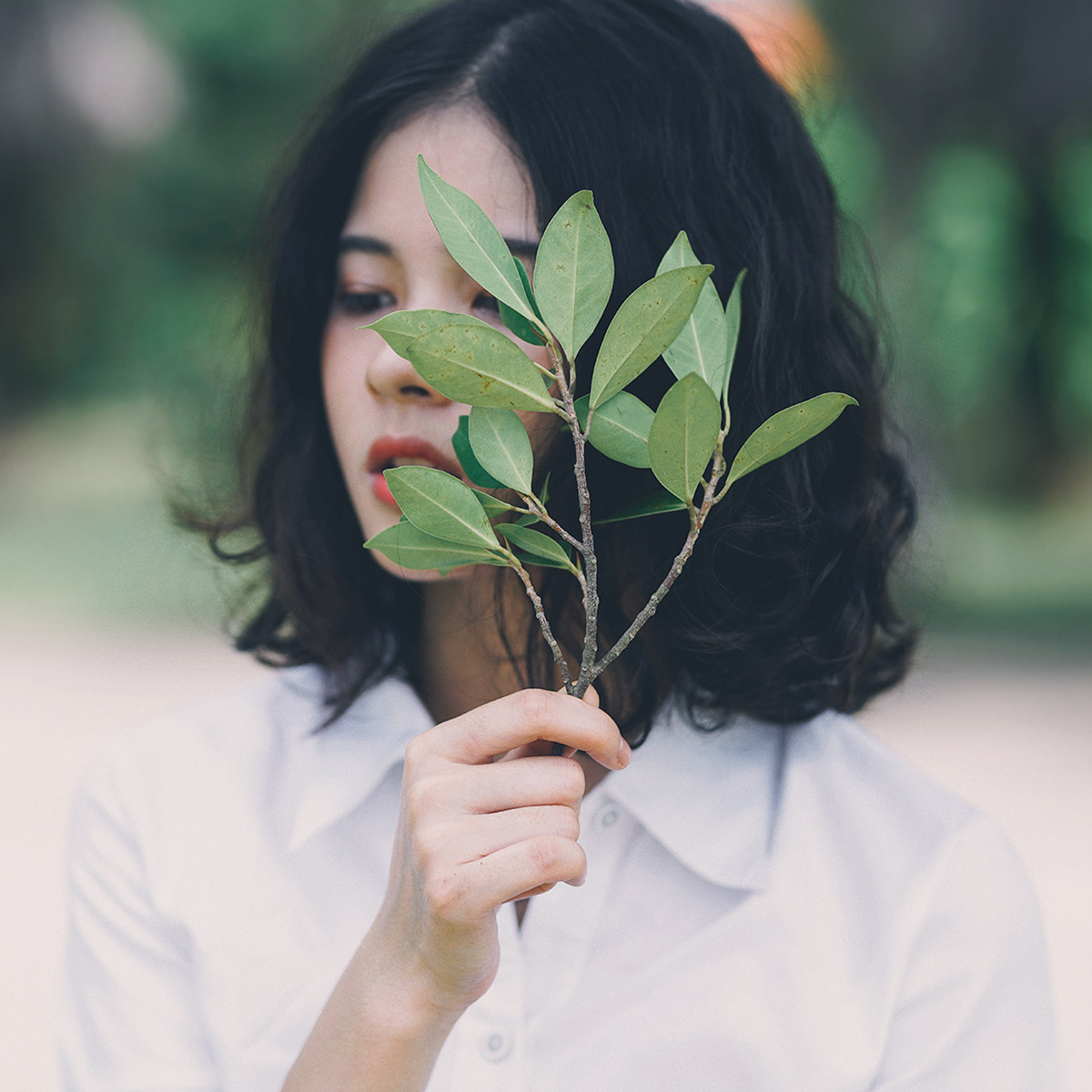 ЗВОС в Узбекистане, ЗВОС в Андижане, ЗВОС в Бухаре, ЗВОС в Джизаке, ЗВОС в Кашкадарье, ЗВОС в Каракалпакистане, ЗВОС в Навоях, ЗВОС в Намангане, ЗВОС в Нукусе, ЗВОС в Самарканде, ЗВОС в Сырдарье, ЗВОС в Сурхандарье, ЗВОС в Фергане, ЗВОС в Хорезме ЗВОС Узбекистан - zvos Toshkent zvos o'zbekiston