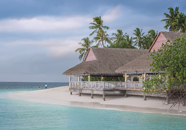 ЗВОС в Узбекистане, ЗВОС в Андижане, ЗВОС в Бухаре, ЗВОС в Джизаке, ЗВОС в Кашкадарье, ЗВОС в Каракалпакистане, ЗВОС в Навоях, ЗВОС в Намангане, ЗВОС в Нукусе, ЗВОС в Самарканде, ЗВОС в Сырдарье, ЗВОС в Сурхандарье, ЗВОС в Фергане, ЗВОС в Хорезме ЗВОС Узбекистан - zvos Toshkent zvos o'zbekiston